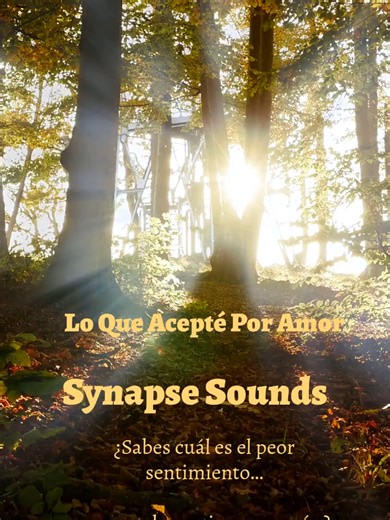 💔 ¿Sabes cuál es el peor sentimiento? Darte cuenta de que aceptaste falta de respeto… solo porque querías amor. Dar tu tiempo. Dar tu corazón. Poner a alguien por encima de todo… y descubrir que para esa persona solo eras una opción más. Esta canción nace del alma. De esas noches donde el corazón pesa y las verdades duelen. Si alguna vez diste todo por alguien que no lo merecía… esta canción es para ti. ❤️‍🩹 🎶 Nueva canción — Synapse Sounds #SynapseSounds #Cancion #BaladaPop #MusicaConSentimi