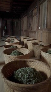 White tea processing from funding Fujian China 🌱🍵 Via @farmerchinatea | Ahmed Elabdi