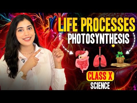 Photosynthesis Explained 🔥 | Life Processes Class 10 | Concepts + PYQs (Part 1)