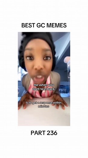 Funny Text Pigeon Memes Compilation | Best GC Memes
