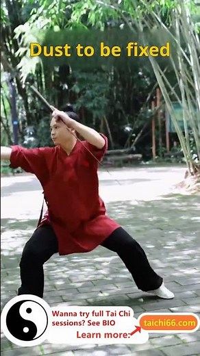 Wudang seven-star sword decomposition action #TaiChiExercisesForSeniorsOnline #TaoistTaiChi