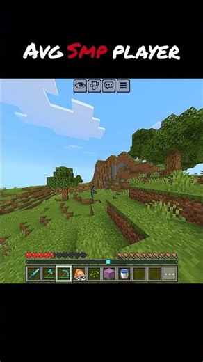 The Average Smp Experience...💀 #minecraft #funny