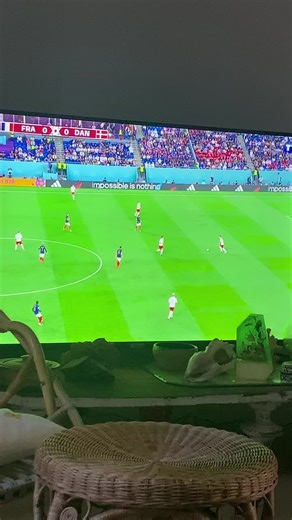 Je connais les drapeaux grace à Fifa mais genre ils font pas jouer Haaland il est cheat il a course longue