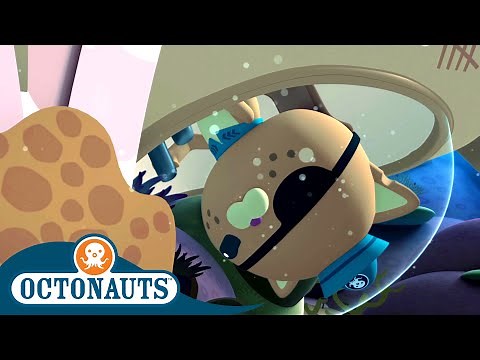 Octonauts - Kwazii in Trouble | Cartoons for Kids | Underwater Sea Education