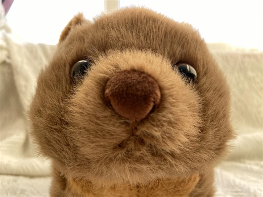 Kawaii Wombat Stuffed Animals Plush,comfort Plushie Gifts for Kids,emotional Support Anxiety Relief Stuffed Animal,desk Buddy for Office - Etsy UK