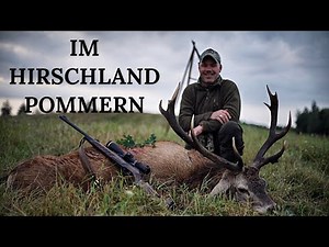 Jagd im Hirschland Pommern | 2020