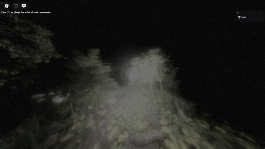 Realistic Bodycam Effect