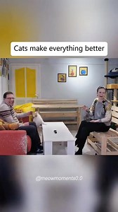 Cat interrupts news interview😸 #ctto | Raizel G. TV