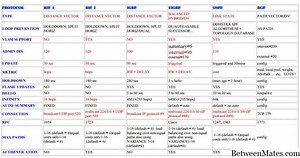 BGP y OSPF - TECNOLOGíA 2025