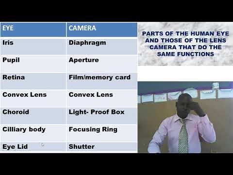 Comparison between the human eye and camera