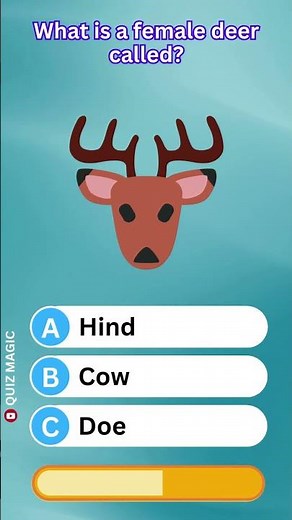 What is a female deer called? IGDXD #QuizMagic #ViralQuiz