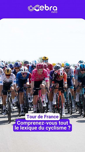 🚴‍♀️ "Sucer une roue", "se mettre en danseuse", "gruppetto"... Le cyclisme a son propre vocabulaire, souvent énigmatique pour les non-initiés. À l’occasion du Tour de France 2025, Alexandre Pasteur, la voix emblématique de la Grande Boucle, nous éclaire sur ces expressions incontournables du peloton. Un lexique pour mieux suivre la course… et parler comme un vrai coureur ! 📽️ Mélissa Latrèche Le Tour de France France tv | Journal L'Alsace
