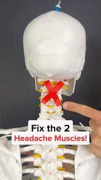 Fix the 2 HEADACHE Muscles!