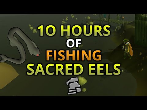 Loot From 10 Hours Of Fishing Sacred Eels