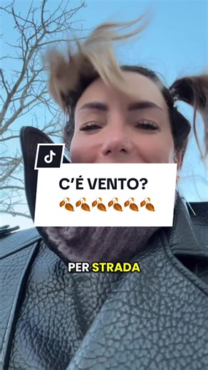 C'É VENTO? Discover Funny Moments with Leaves!