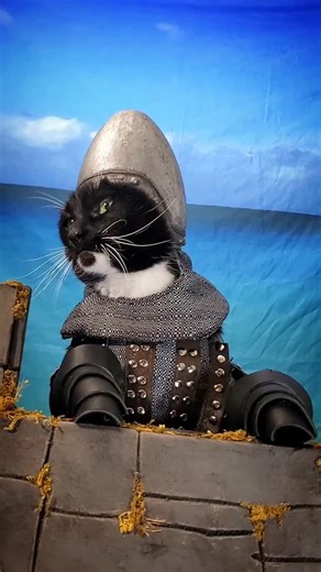 Cat Cosplay on Instagram: "Send only to your Funniest Valentine #ValentinesDay #MontyPython #valentine #cat #cosplay"
