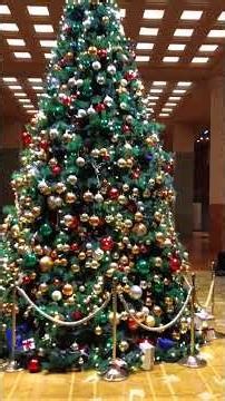 京都のクリスマスツリー2025冬🎄ホテルオークラロビーに登場✨️ #クリスマス #外国人観光客 #京都 #kyoto