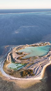 Post Office Island is part of the Abrolhos’ Pelsaert Group. The Liddon family, who live in a shack that opens to a backyard of coral reefs and sea, are the island’s only inhabitants. In the Pelsaert Group, each island belongs to a family. The Liddon family has been on their island for generations, and even have a clear lagoon where the family’s ashes are poured. Discover life on Post Office Island: ausgeo.co/Abroholos 🎥 Eddie Ablett #ausgeo #seeaustralia #islandlife #island #paradise | Australi