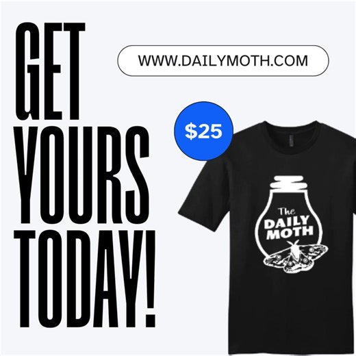 123K views · 143 reactions | Our t-shirts are back! Get yours today! www.dailymoth.com | The Daily Moth | Facebook