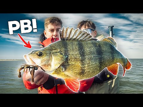 Der größte BARSCH auf Youtube!?