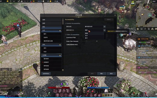 失落的方舟lost_ark鼠标光标调整设置【Skyofdk】