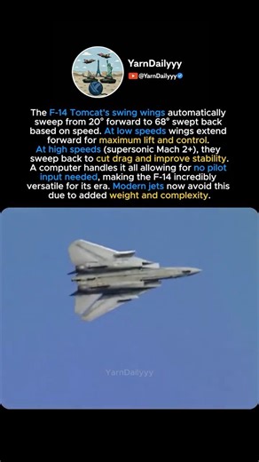 F-14 Tomcat Wings Move on Their Own 😳✈️ Swing Wing Explained!