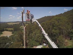 Tree Removal Works Filmed by a drone