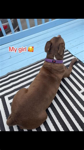 Tina.Louise💋 (@tina_louise8)’s videos with Good Ol' Dogs and God - Pryor & Lee