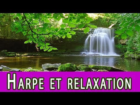 Source des merveilles : harpe, flute de pan, piano et clavier, musique zen/relaxation (F. Amathy)