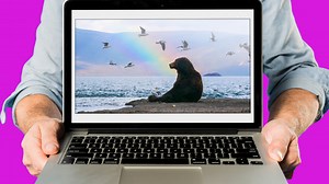 From Moscow to Kamchatka: Travel Russia with these real-time webcams