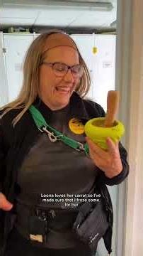 What is it like to work for Dogs Trust? | Dogs Trust