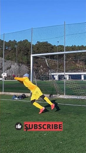 Is this the perfect diving form? 🤔🧤
