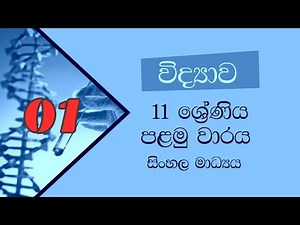 Grade 11 Science Theory lesson 1 - TeachMeOnline.net