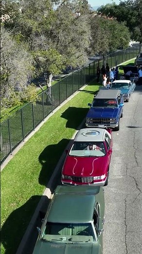 Clean Lowriders 🔥🔥#lowriders #chevycars #classiccar