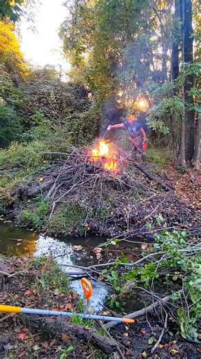 BEAVER DAM REMOVAL IN 1 MINUTE! | Fire At Mega Beaver Dam! #beaverdam #beaverdamremoval #damremoval #beavers #dam #flowing #rushing #drain #draining #unclogging #water #nature #hunting #mud #burn #burning #fire #workhard #megabeaverdam #motherbeaverdam2 #creek #terrellspivey #viralreels #reels #fbreels #reelsfb | Terrell Spivey