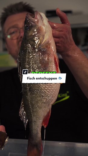 Fische entschuppen, aber richtig! 🔥 Der Profi zeigt euch heute seine Geheimwaffe 👏 #entschuppen #fisch #angeln #kochen #fischentschuppen #barsch #zander #hecht #catchandcook #fischrezept