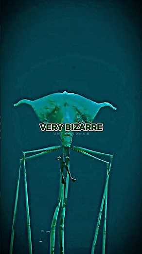 Joe Rogan Reveals Scary Alien-Like Squid