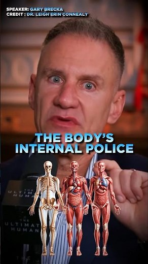 Your Immune System Does WAY More Than Fight Viruses