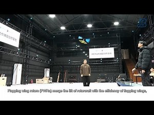 Downwash dynamics reveal new paths to stable flapping wing rotor flight