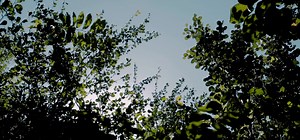 Your values, experiences and unique perspectives belong at KPMG. Be empowered to work in new, more flexible ways and recognised for the impact you make. Discover more at: kpmgcareers.co.uk #KPMGCareers #OurKPMG | KPMG UK Careers - Student Recruitment