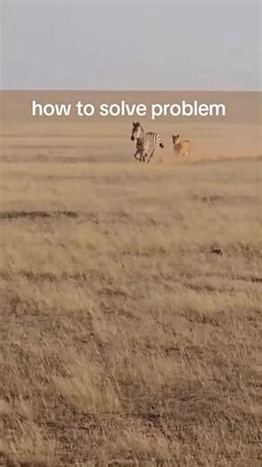 How to Solve Problems: Strategize, Wait, and Act Once