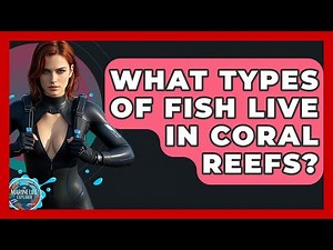 What Types Of Fish Live In Coral Reefs? - The Marine Life Explorer