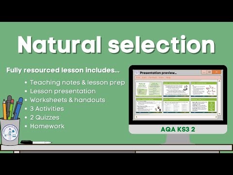 Natural selection Lesson preview