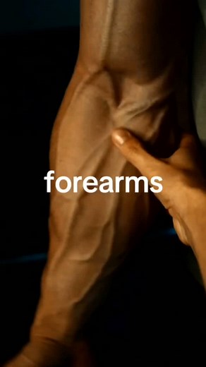 3 cable exercises to grow bigger forearms 🦾 Follow me for more fitness tips & workouts :) Credits Workout by @hussein.fht Intro by @litvinov.fit Credit @rise.and.grind15 #reels #foryou #motivation #fitnessmotivation #fitness #mentality #workout #training #arnoldschwarzenegger #musclegain #abs #biceps | 180strength