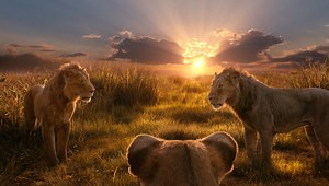 Μουφάσα: Ο Βασιλιάς Των Λιονταριών - FLIX