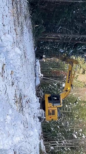 👏 Today’s appreciation post goes to Lucas Guimond of LJG Woodlands, LLC for the use of his time and equipment for trail maintenance at our mountain! We send a heartfelt thank you from all LPT members for your generosity, as well as a shout-out to operator Mike Labbe for his precision to handling the task exceptionally! 👏 🗻Our little mountain thrives because of community members like this! ⛷️Thank you again, and SEE YOU ON THE MOUNTAIN ❄️ ❄️ ❄️ | Lonesome Pine Trails