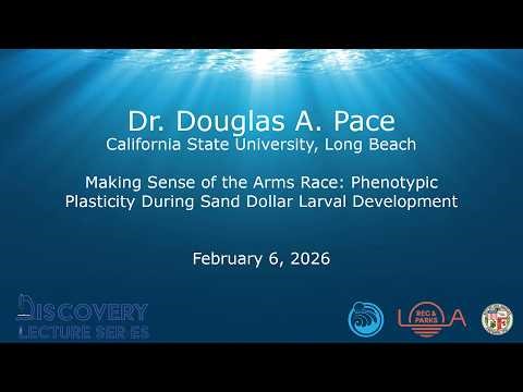 Discovery Lecture Series: Phenotypic Plasticity During Sand Dollar Larval Development