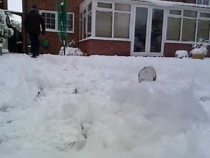 Diana MOD 25 Air Rifle Shooting