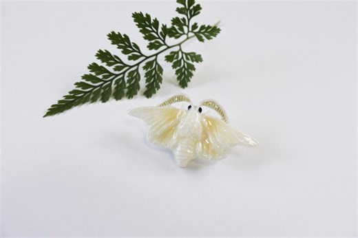 Silkworm Moth (large) Glossy Finish Brooch - Etsy