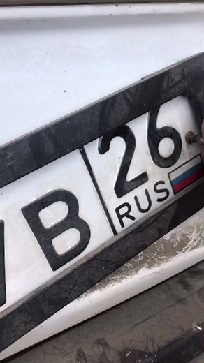 Removing a Damaged Vehicle License Plate Step-by-Step